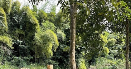 La Poza, El Yunque!!! Camping Area 1