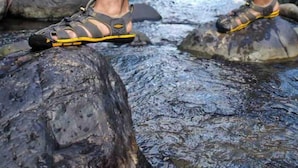 A person standing on rocks in a stream with greenery in the background. - La Poza, El Yunque!!! Camping Area 1 (Palmer)