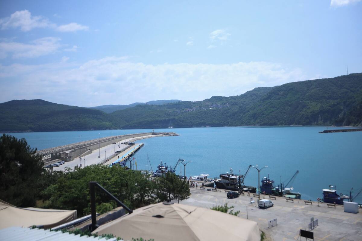 A coastal marina with boats docked, a pier extending into the water, and a mountainous backdrop.