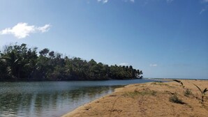 A beach with a sandy shore and a dense forest on the opposite side of a calm body of water. - La Poza, El Yunque!!! Camping Area 2 (Palmer)