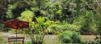 La Poza, El Yunque!!! Camping Area 2