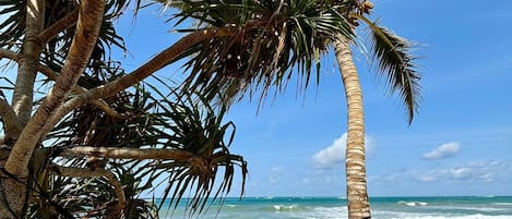 En la playa, sillas reclinables de playa
