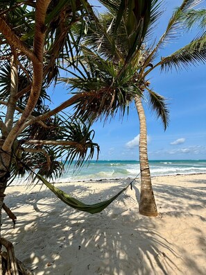 A hammock tied between palm trees on a sandy beach with the ocean in the background. - Charming beach-front cottage in Tiwi for easy-going friends with AC and WiFi (Tiwi)
