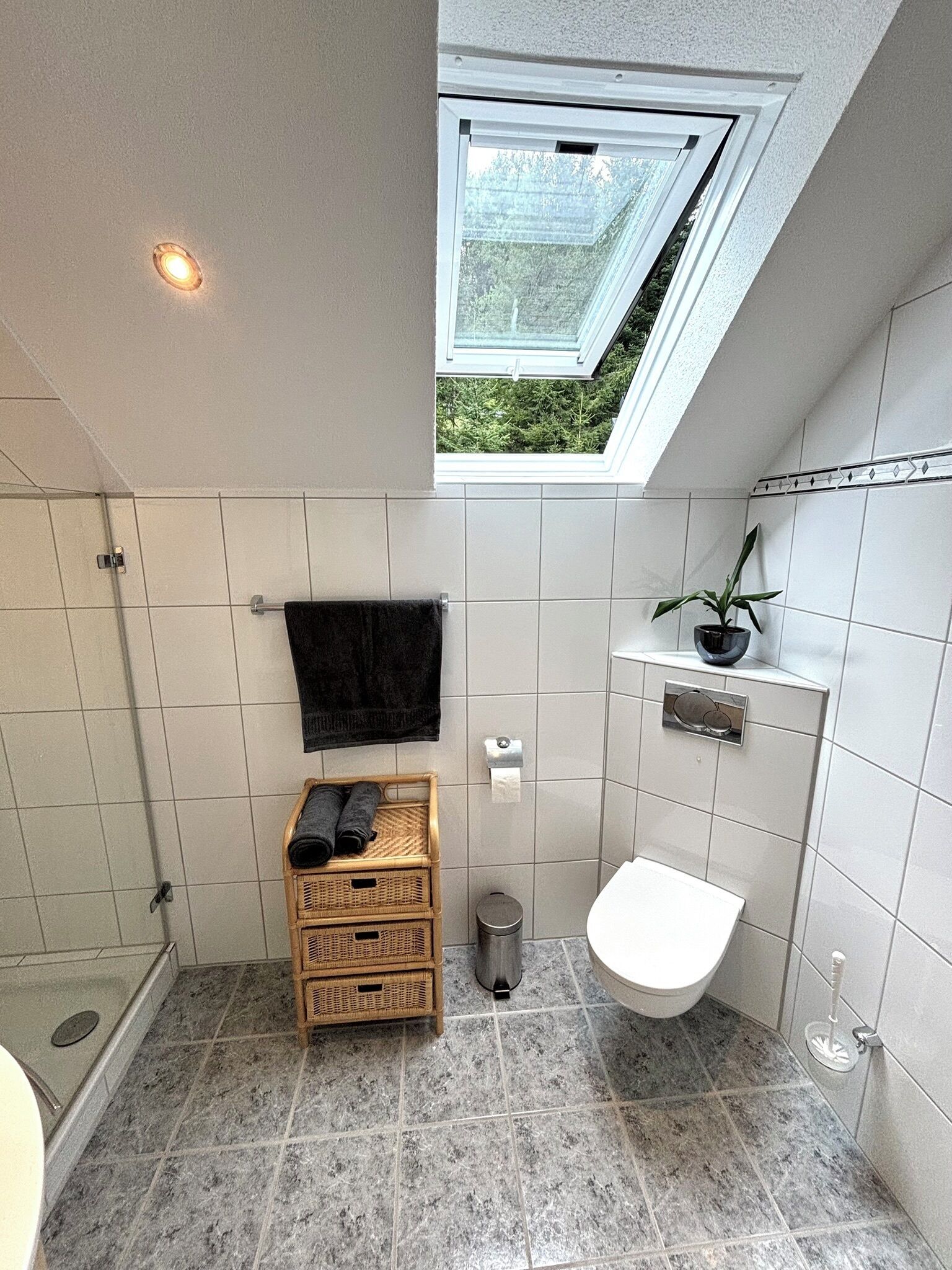 A modern bathroom with a skylight, a toilet, a shower, and a small shelf with a plant.