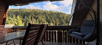 Large Feldberg suite with balcony