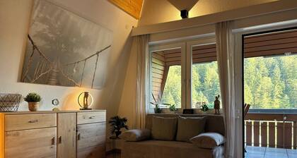 Large Feldberg suite with balcony