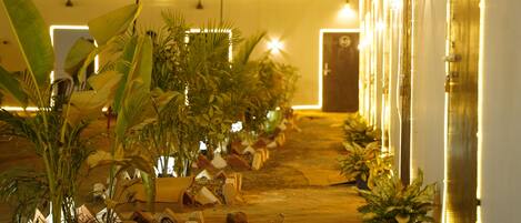 A pathway lined with potted plants leading to a building entrance.