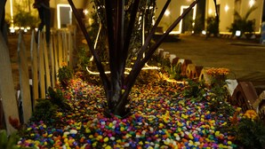 A tree surrounded by colorful pebbles, with a wooden fence and illuminated letters in the background. - Maha Kumbh Mandapam  (Karchana)