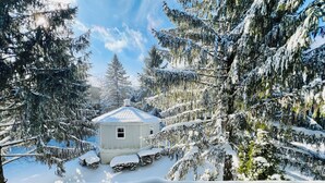 A snow-covered cabin surrounded by evergreen trees.