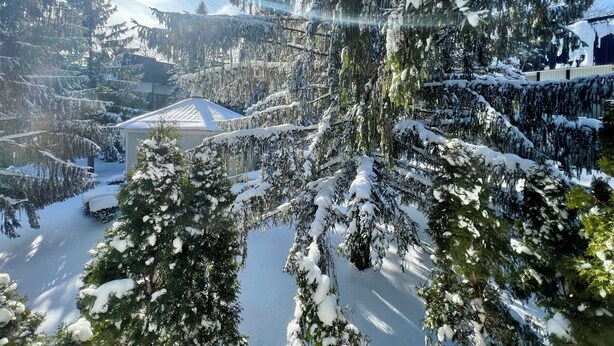 A snow-covered landscape with dense evergreen trees and a building with a sloped roof.