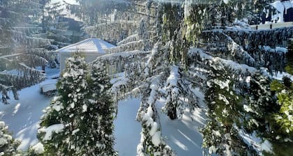 Charming 2Br/2BA Blue Knob Condo