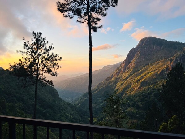 Exterior - Belmount Ella (Ella)