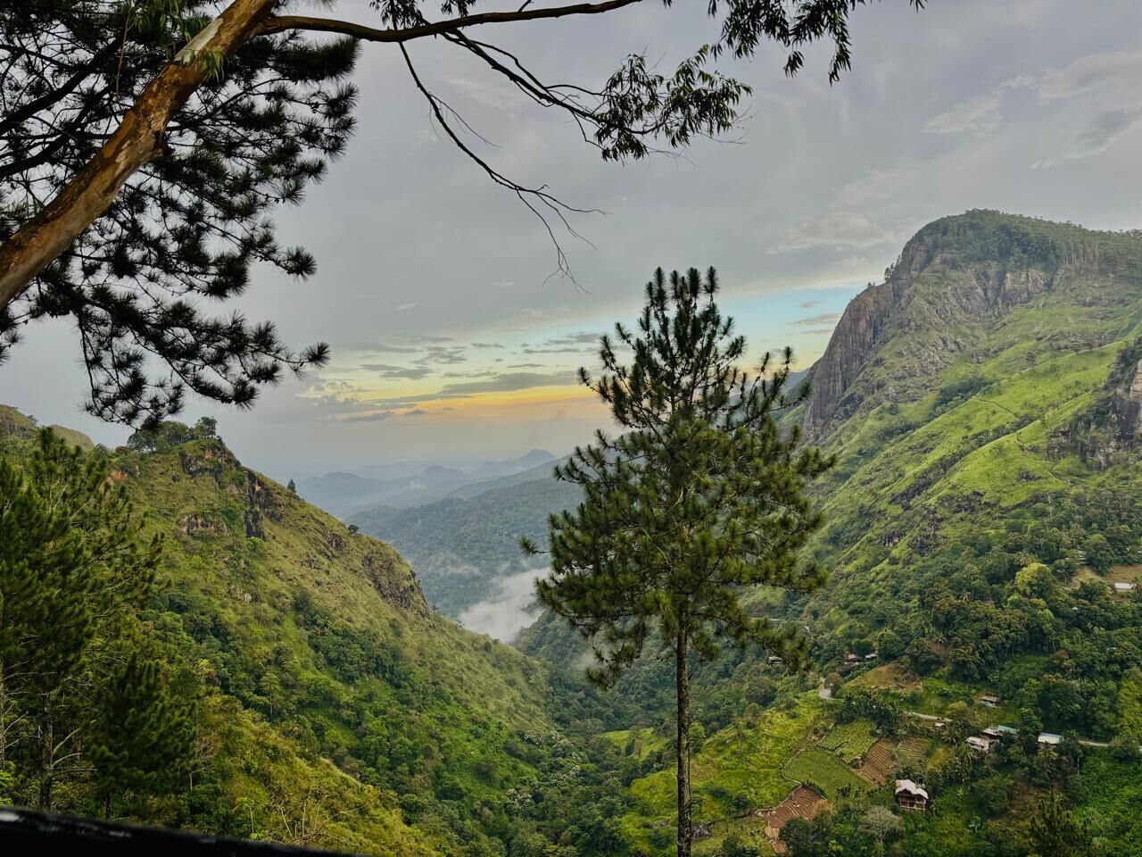 A mountainous landscape with dense greenery and a clear view of a valley.