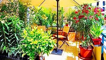 Terras