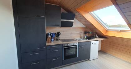 Vacation apartment on the outskirts with 2 balconies