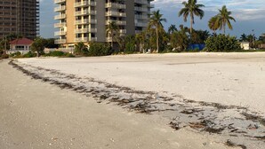 A beach with a high-rise building in the background.