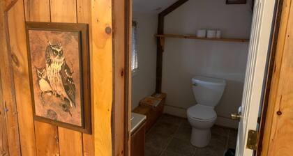 Cozy Retreat in Historic Farmhouse, Charming Bunk Bed Room,- Owl Dorm