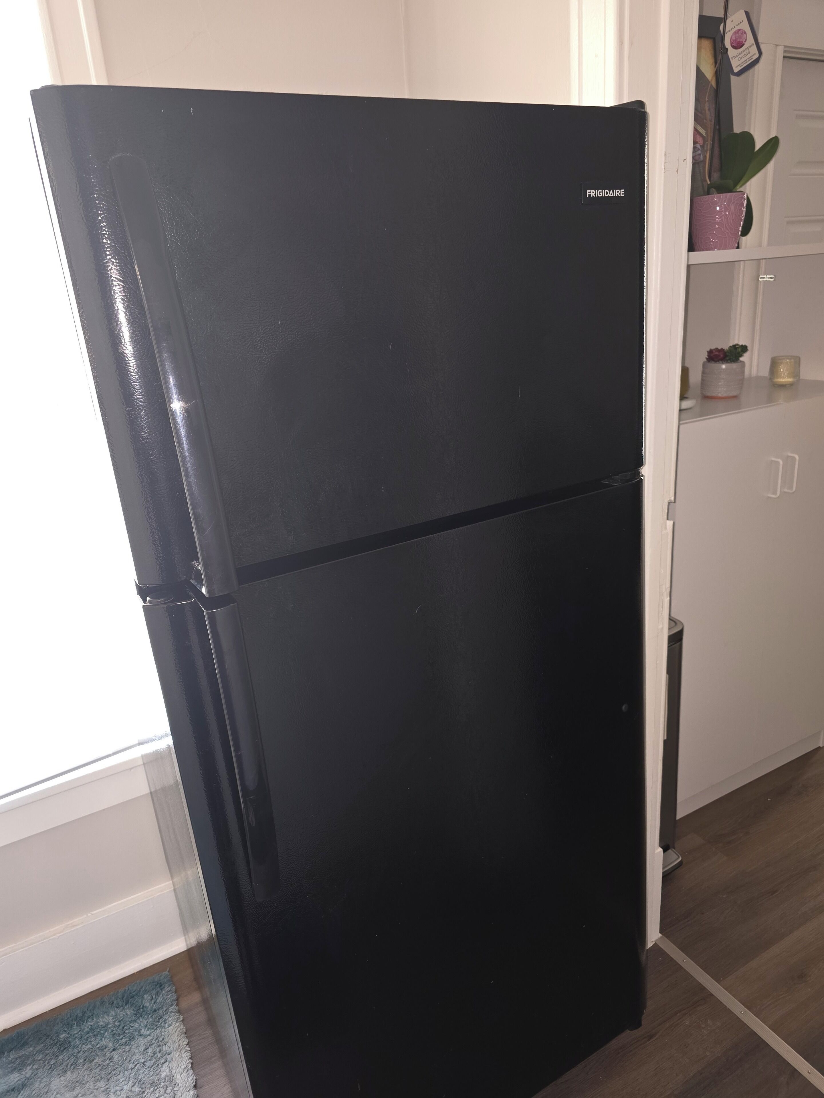 Musta jääkaappi valkoisessa keittiössä, jossa on valkoiset kaapit ja kasvi työtasolla.