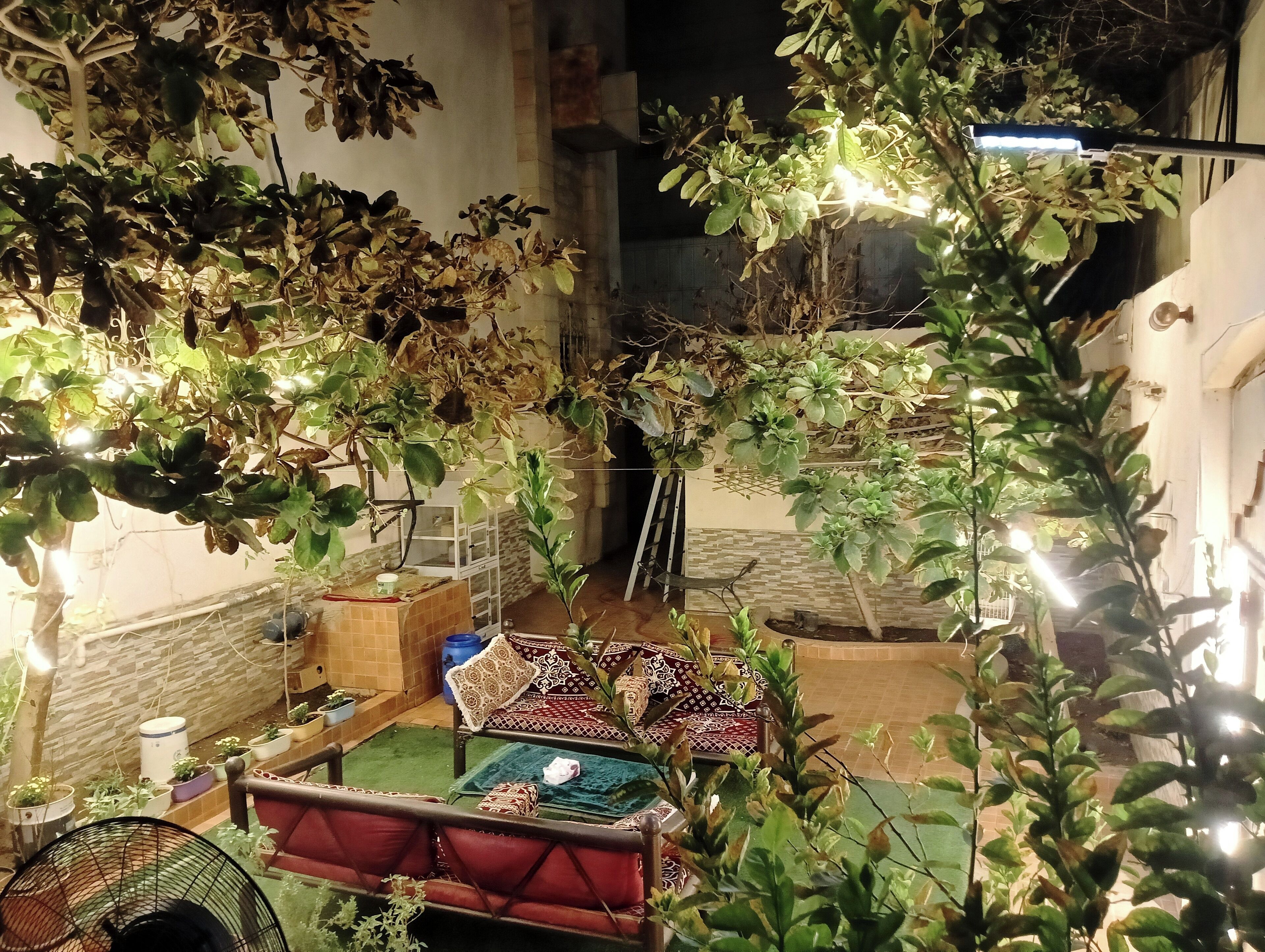 Overnattingsstedets uteområder