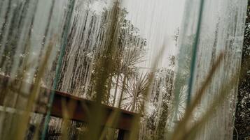 A glass structure with a metal frame, possibly a greenhouse or conservatory, with a view of tall grasses and a building in the background.