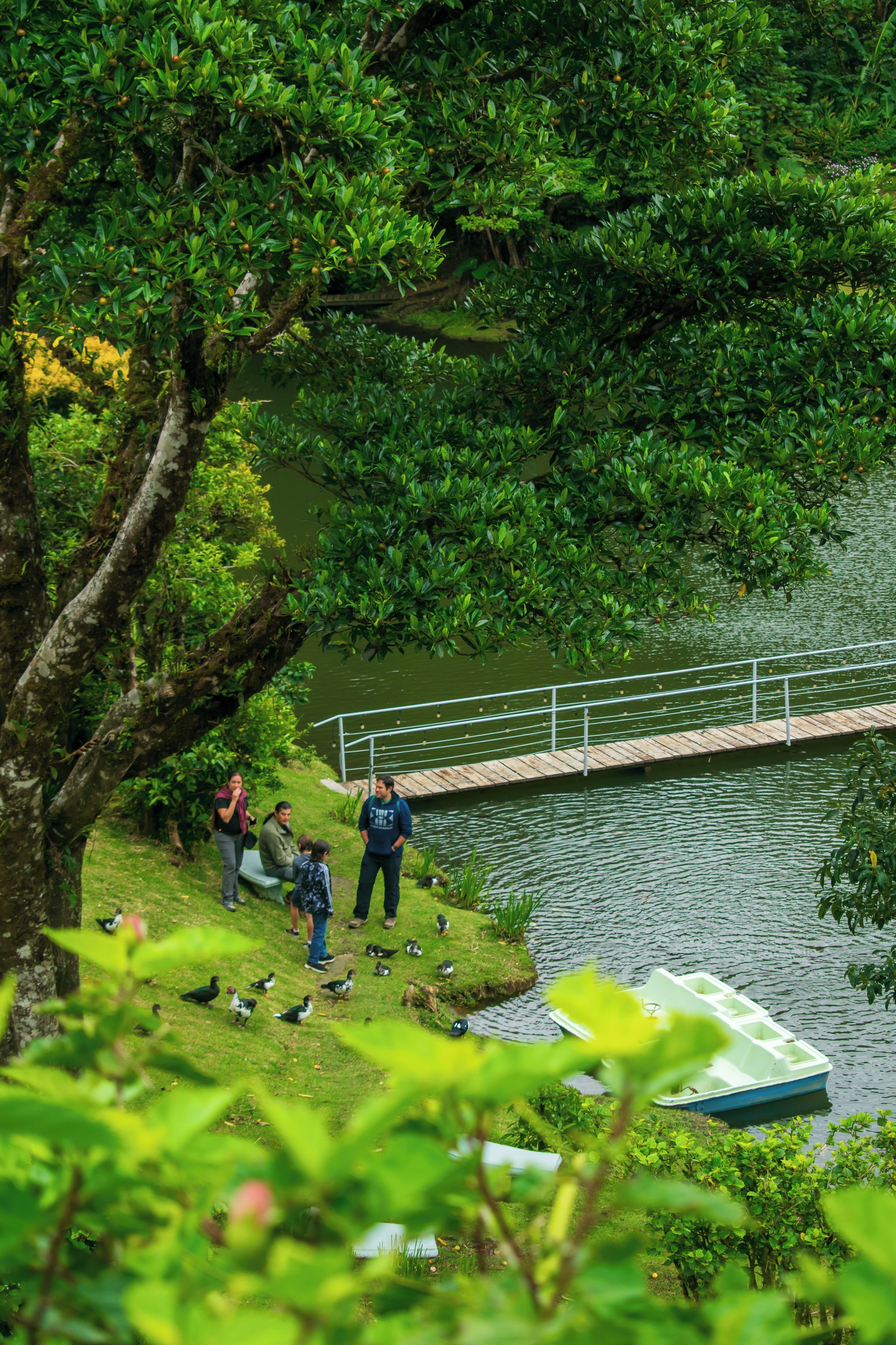 A group of people by a lake with a dock and a small boat.