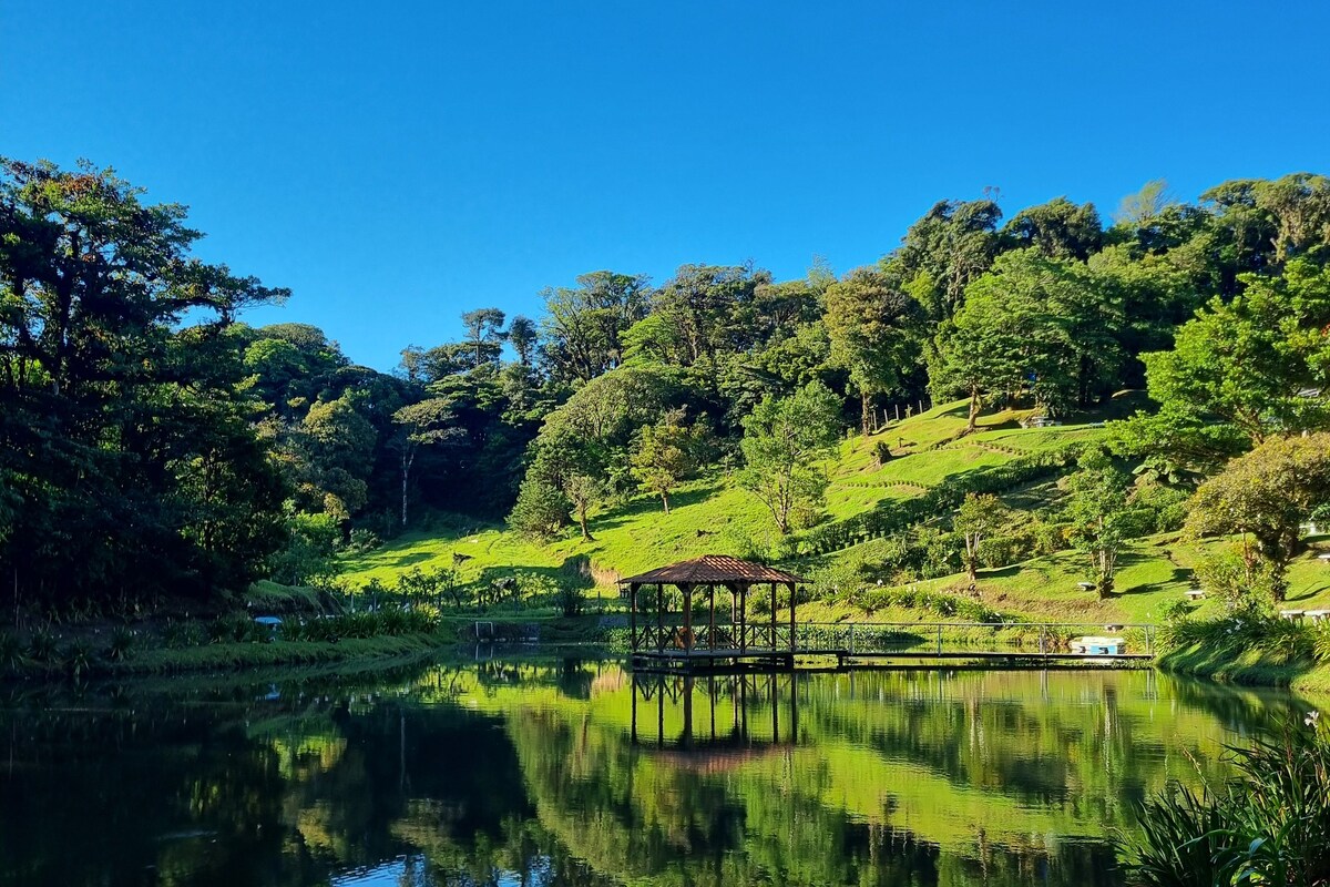 A serene lake with a gazebo in the center, surrounded by lush greenery and trees.