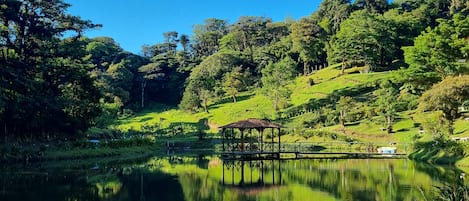 A serene lake with a gazebo in the center, surrounded by lush greenery and trees.