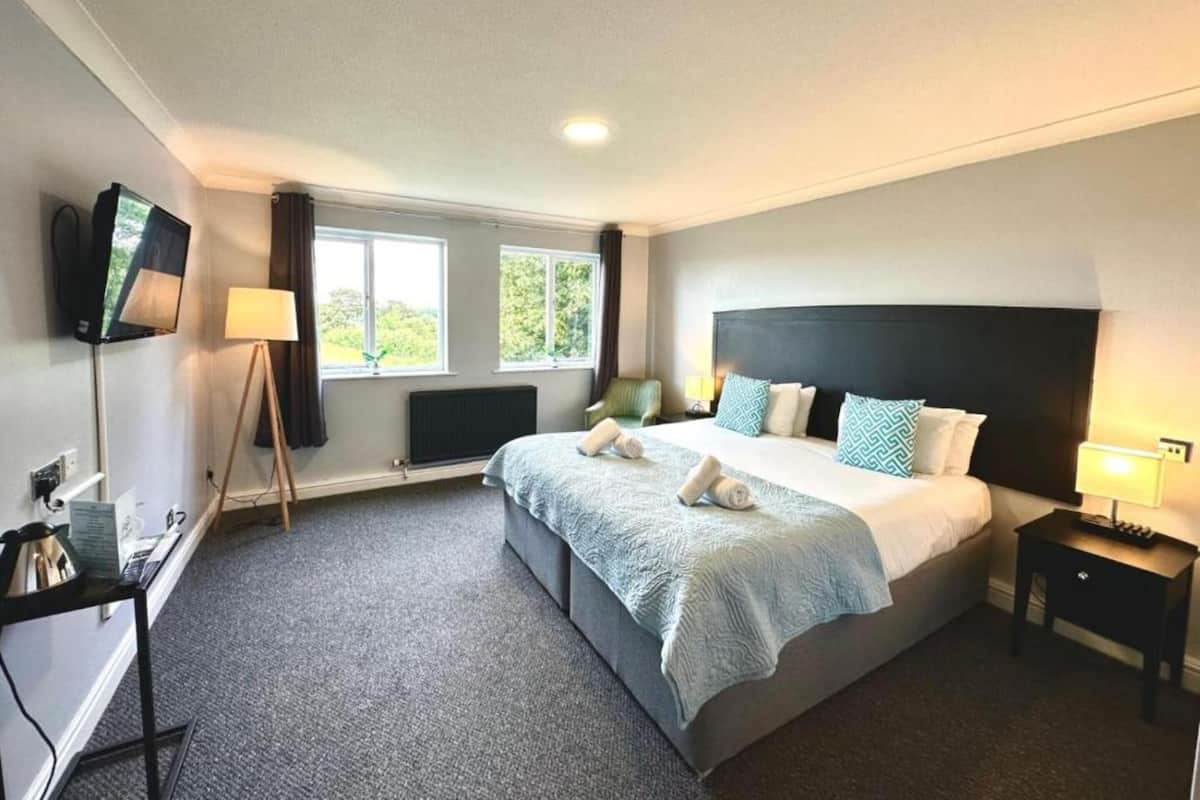 A hotel room with a large bed, a desk, a TV, and two windows.