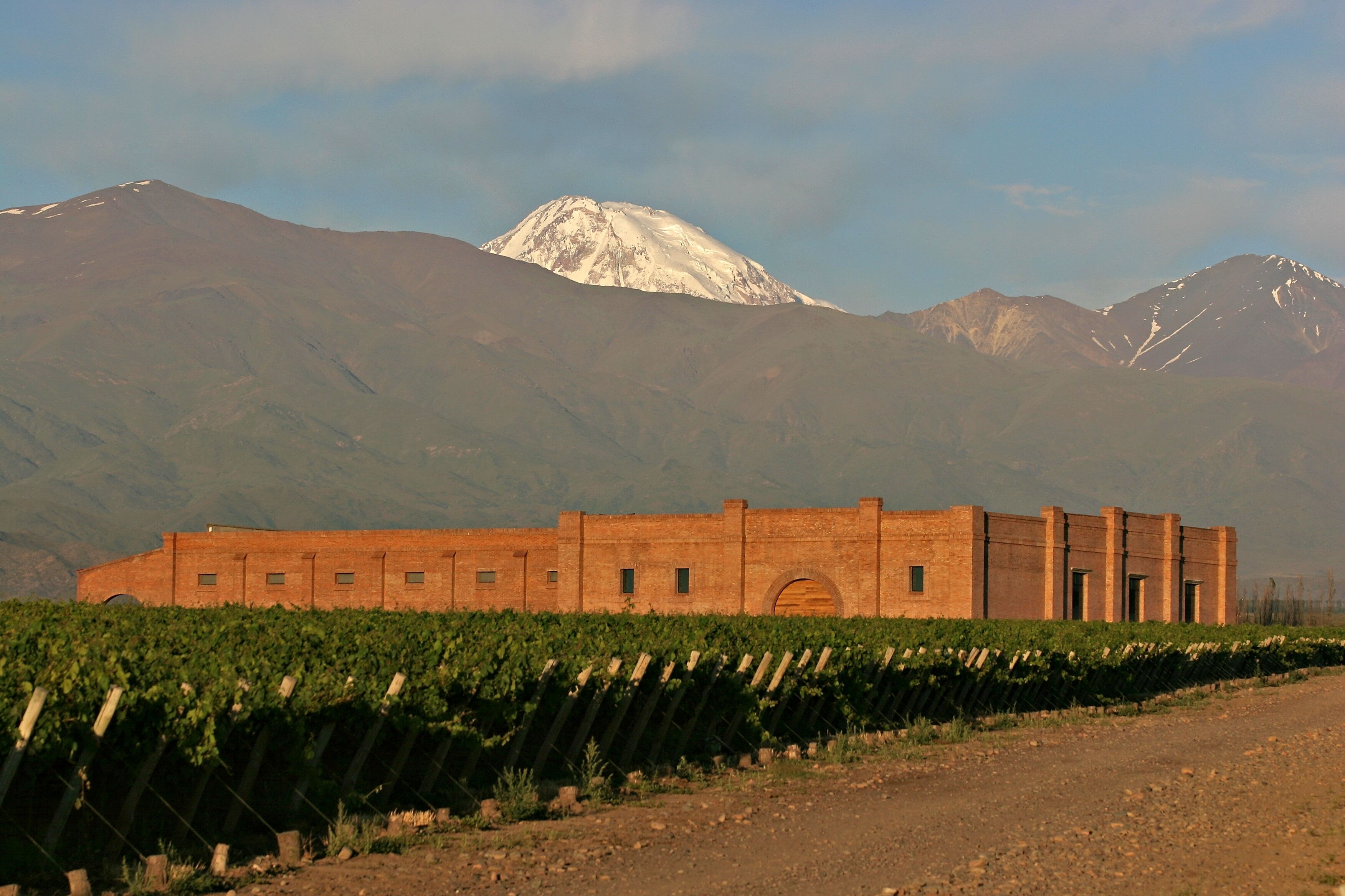 Viñedo con hileras de vides, un edificio de ladrillo y una cordillera en el fondo.
