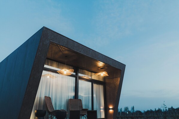 View from property - Andeluna Winery Lodge (Tupungato)