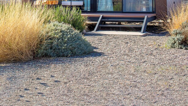 Un bâtiment moderne doté de grandes fenêtres en verre, d’une allée en gravier et d’un banc à l’extérieur.