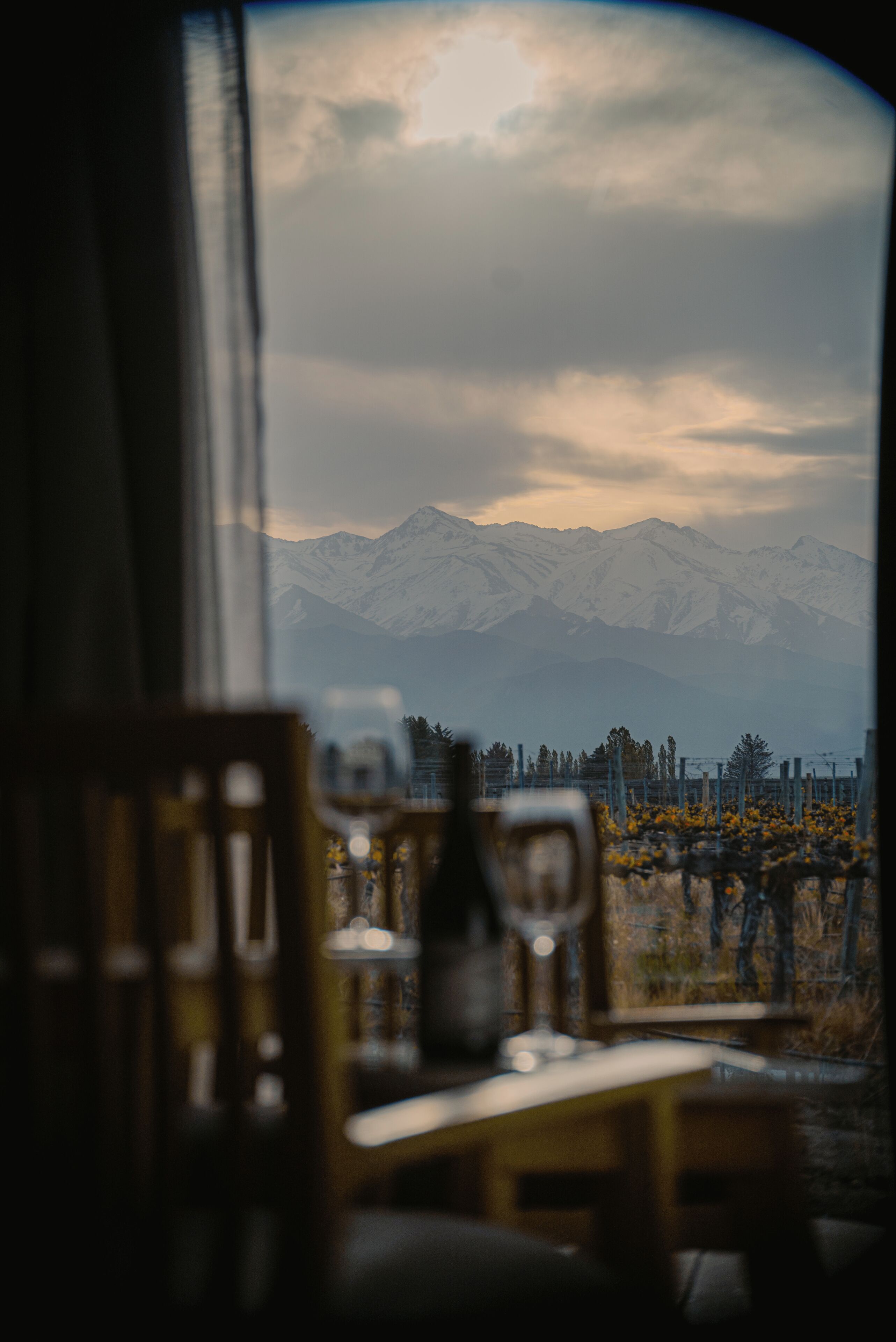 Vista desde la propiedad