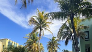 Uma trilha bordeada por palmeiras e uma piscina, conduzindo a um edifício com grandes janelas e fachada verde.