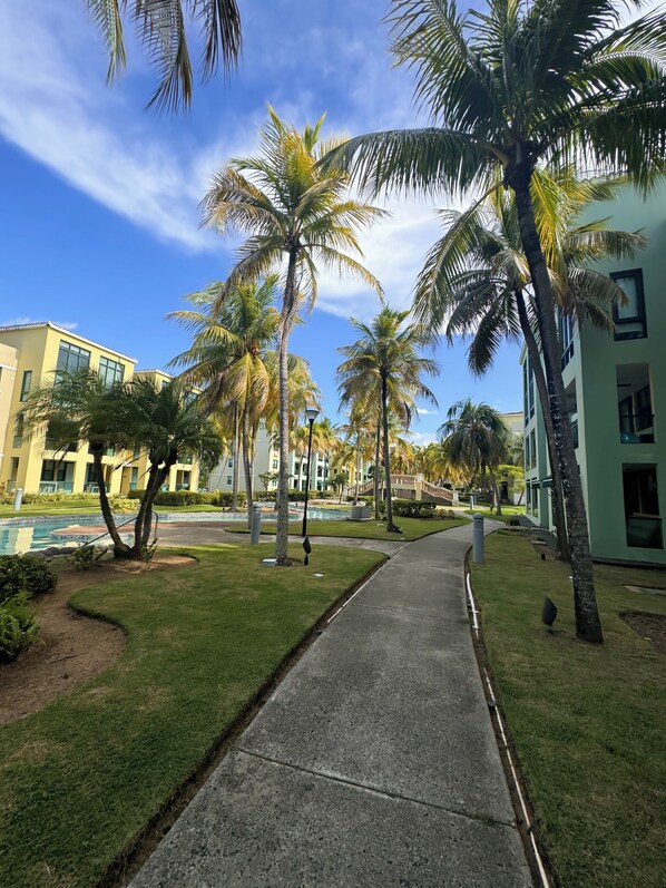 Un camino bordeado de palmeras y una piscina, que conduce a un edificio con ventanas amplias y fachada verde.