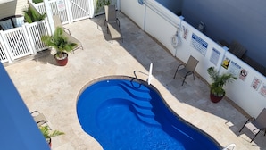 Una piscina con bordo bianco, circondata da sdraio e piante in vaso.