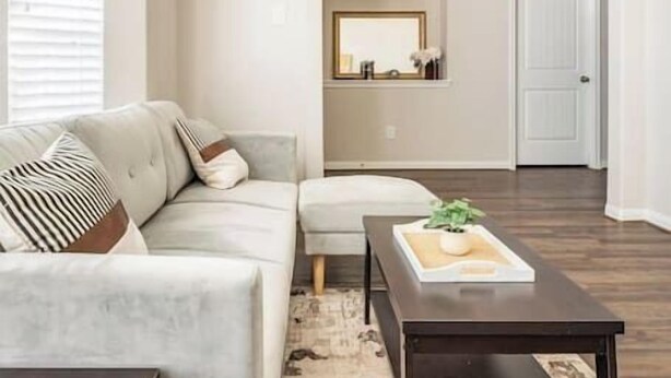 Ein modernes Wohnzimmer mit einem grauen Sofa, einem Couchtisch und einem Teppich.