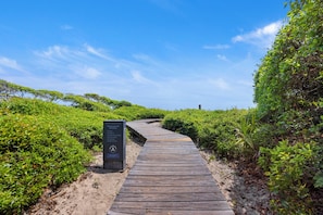 A wooden boardwalk path surrounded by greenery.
