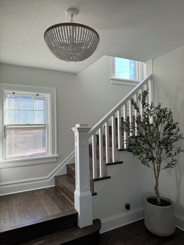 Cozy and accomodating designer home near downtown and McKennan Park - sleeps 10+