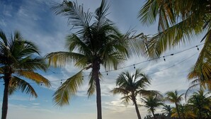 Ein Strand mit Palmen, Liegestühlen und ruhiger See.
