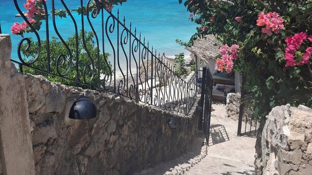 Eine Steintreppe führt zu einem Strand, gesäumt von einer Metallreling und rosa Blumen.