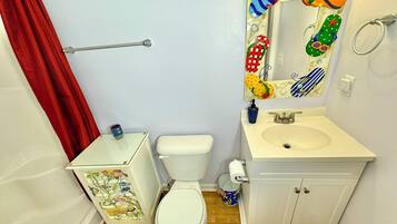 Ducha, secador de pelo, toallas y champú