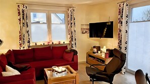 TV connectée, cheminée, lecteur de DVD, livres