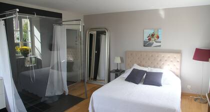 House with swimming pool and garden