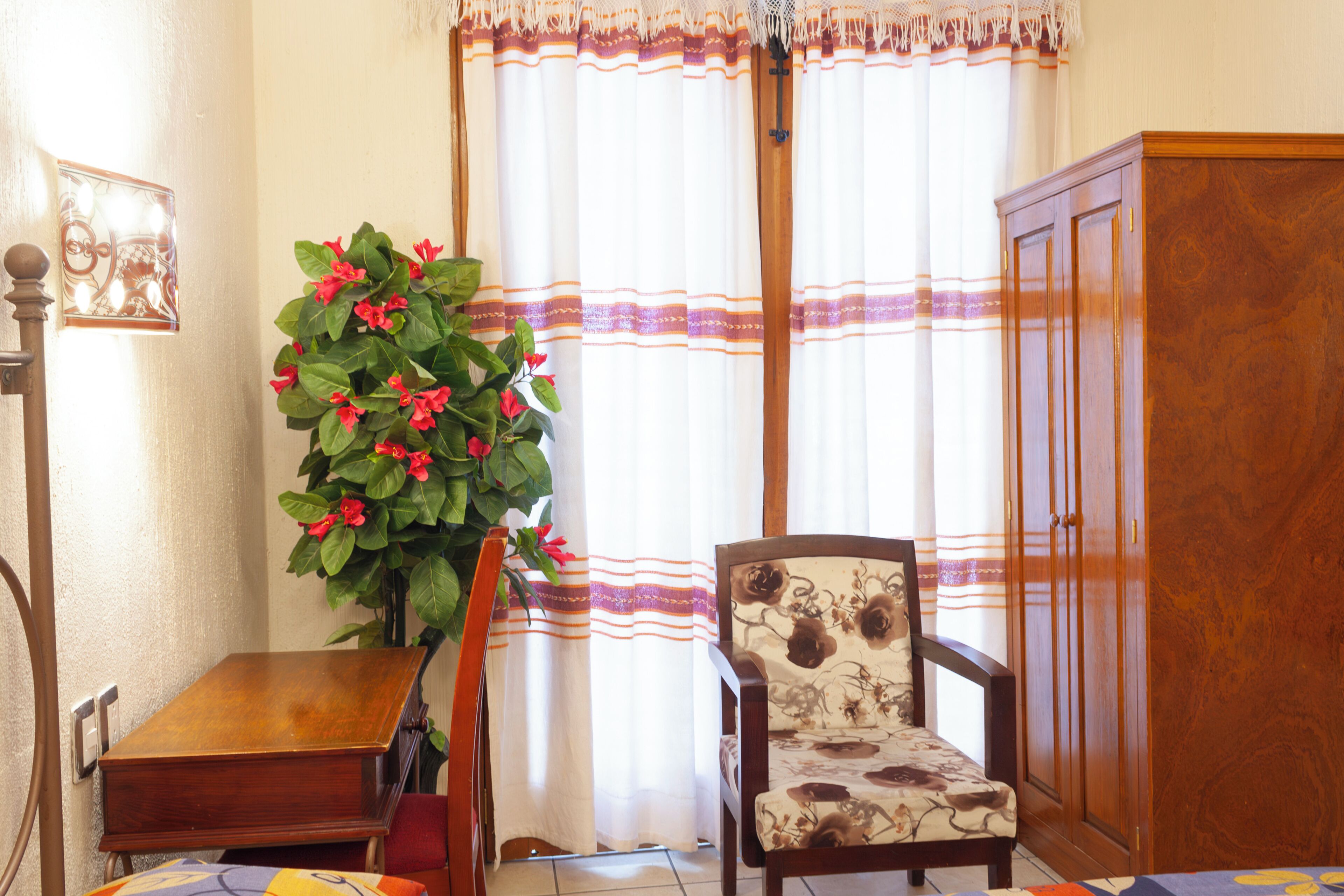 Foto - Hotel Dainzú
