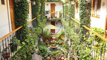Habitación Queen | Terraza o patio
