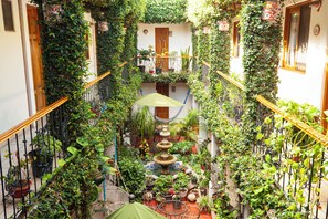A narrow courtyard with a central fountain, surrounded by potted plants and a hammock. - Hotel Dainzú (Oaxaca)
