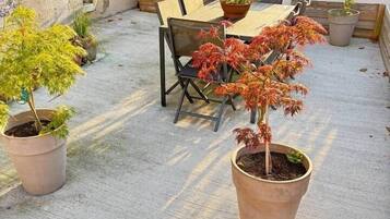 Ristorazione all'aperto