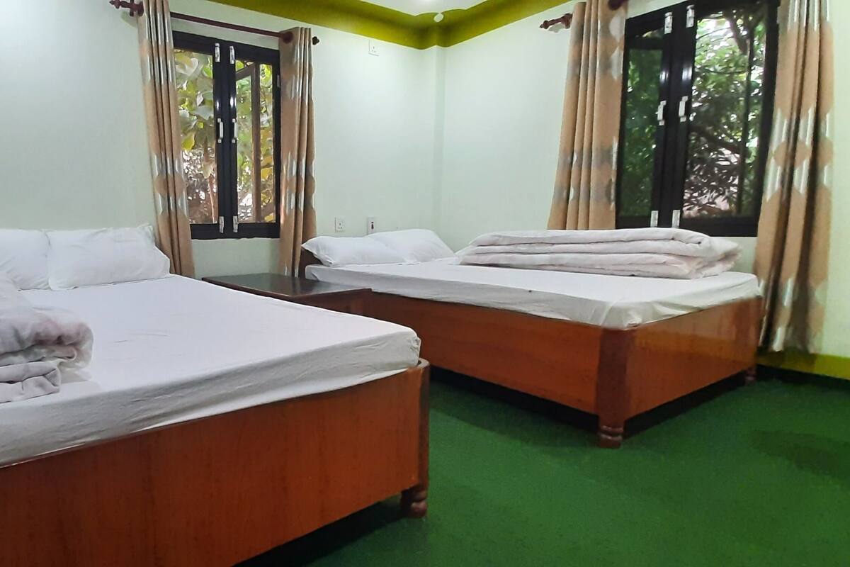 Una habitación con dos camas de madera, alfombra verde y una ventana con cortinas.