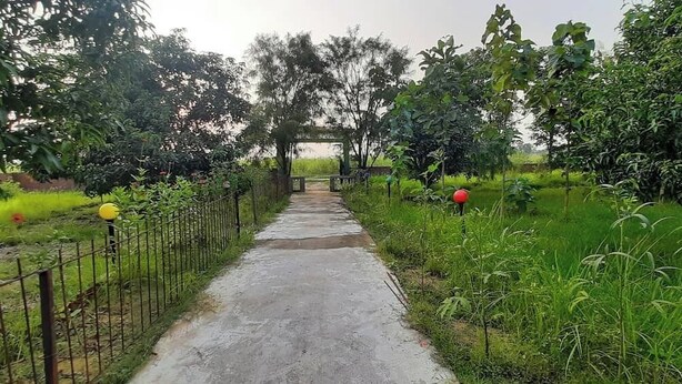 Un chemin qui traverse un jardin, avec une clôture en métal d’un côté et des arbres de l’autre.