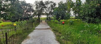 Tharu Mango Garden Resort